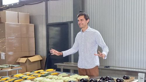 FOTO | Din poarta echipei naționale, direct în solar: Ciprian Tătărușanu și drumul său de la fotbal la agricultură bio / Cultivă împreună cu un prieten-asociat soiuri diverse de dovleci și dovlecei bio