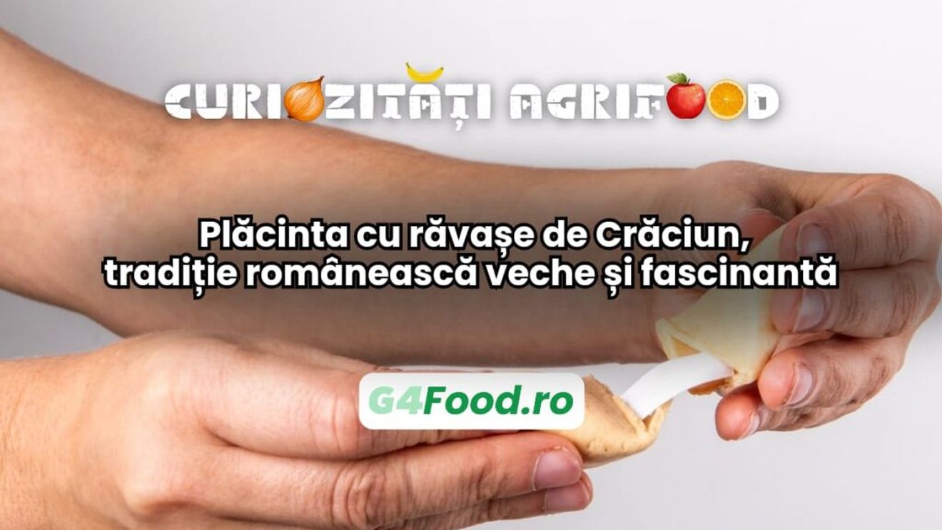 Curiozități agri-food 25 decembrie: Plăcinta cu răvașe de Crăciun, tradiție românească veche și fascinantă