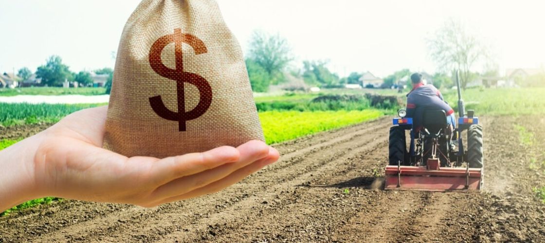 Mai puțini bani pentru agricultură, mai mulți pentru război / Politicile bugetare din SUA stârnesc îngrijorări în sectorul agricol