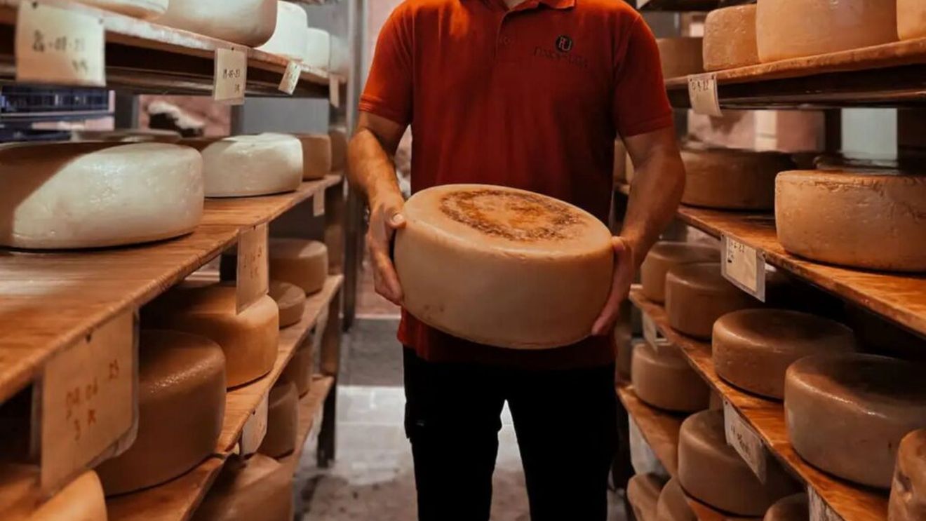 Cea mai bună brânză din Spania se numește „Don Nicolás” și este obținută din lapte de vacă, la o fermă situată în Insulele Canare