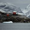 Genomul unei plante din Antarctica, cartografiat de cercetători pentru a dezvolta culturi agricole rezistente la climă