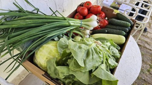 Pe 16 iunie va fi lansat Cosulgustos.ro, un proiect prin care mai mulți fermieri din Giurgiu își pun la un loc legumele, în cutii livrate săptămânal