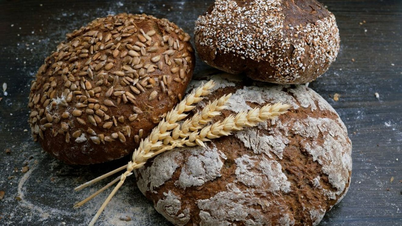 Cum se făcea pâinea pe vremea dacilor. Expoziția care dezvăluie povestea unuia dintre cele mai importante alimente din lumea antică