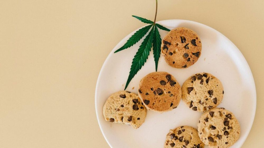 Şase copii din Bulgaria au ajuns la spital, în stare gravă, după ce au mâncat biscuiţi cu canabis