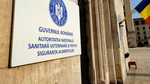 Certificarea exporturilor de animale şi alimente, blocată două ore de o grevă de avertisment la DSVSA Arad