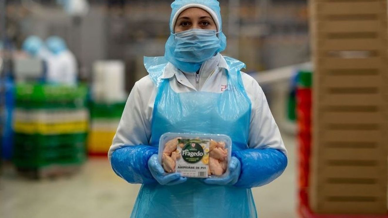 Fragedo, cel mai bine clasat brand din industria alimentară în clasamentul Brand Finance Romania 2024 / Valoarea, estimată la 109 milioane de euro