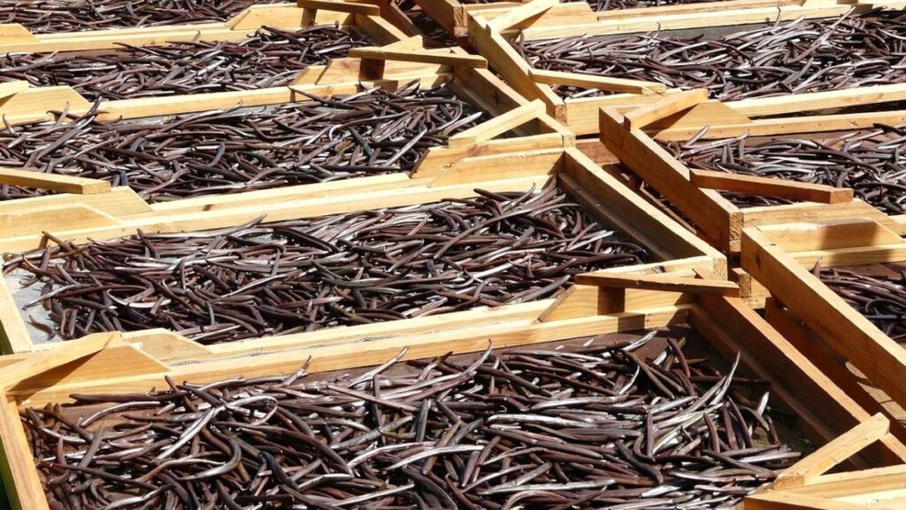 Asemănătoare dar foarte diferite. Care sunt diferențele dintre vanilia naturală sub formă de păstăi și vanilina de sinteză