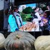 GALERIE FOTO | Kikinda devine din nou capitala dovleacului. Dovleci de sute de kilograme, fruștiuc bănățean și plăcintă cu ludaie, la festivalul de peste graniță