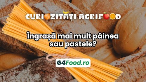Curiozități agrifood – 03 octombrie: Îngrașă mai mult pâinea sau pastele?