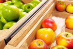 Festivalul Roadelor Toamnei, la Buftea. Producători din toată țara aduc brânzeturi, miere, conserve și produse tradiționale