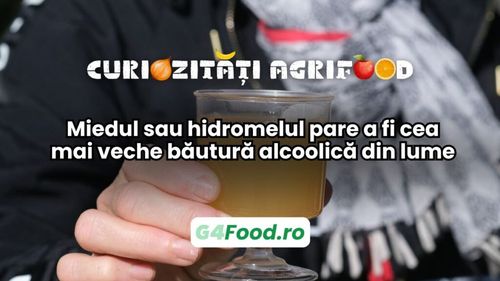 Curiozitate agri-food: Miedul sau hidromelul pare a fi cea mai veche băutură alcoolică din lume / Numit și „nectarul zeilor”, folosit la ritualurile de nuntă, a dat numele „lunii de miere”