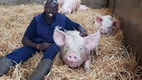 Povestea emigrantului kenyan care a devenit un model pentru fermierii englezi. Cum a reușit Flavian Obiero să-i cucerească pe britanici