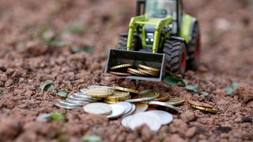 Micii fermieri și fiscalizarea, o provocare sau o oportunitate pentru agricultura românească / Oficialii din agricultură vor să-i determine pe micii fermieri să-și deschidă  PFA sau SRL