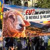 LIVE UPDATE | FOTO-VIDEO | Protest al fermierilor în Piața Victoriei. Sute de participanți s-au adunat în fața Guvernului / Jandarmeria a pregătit filtre la intrarea în București: „Nu blocăm accesul protestatarilor”