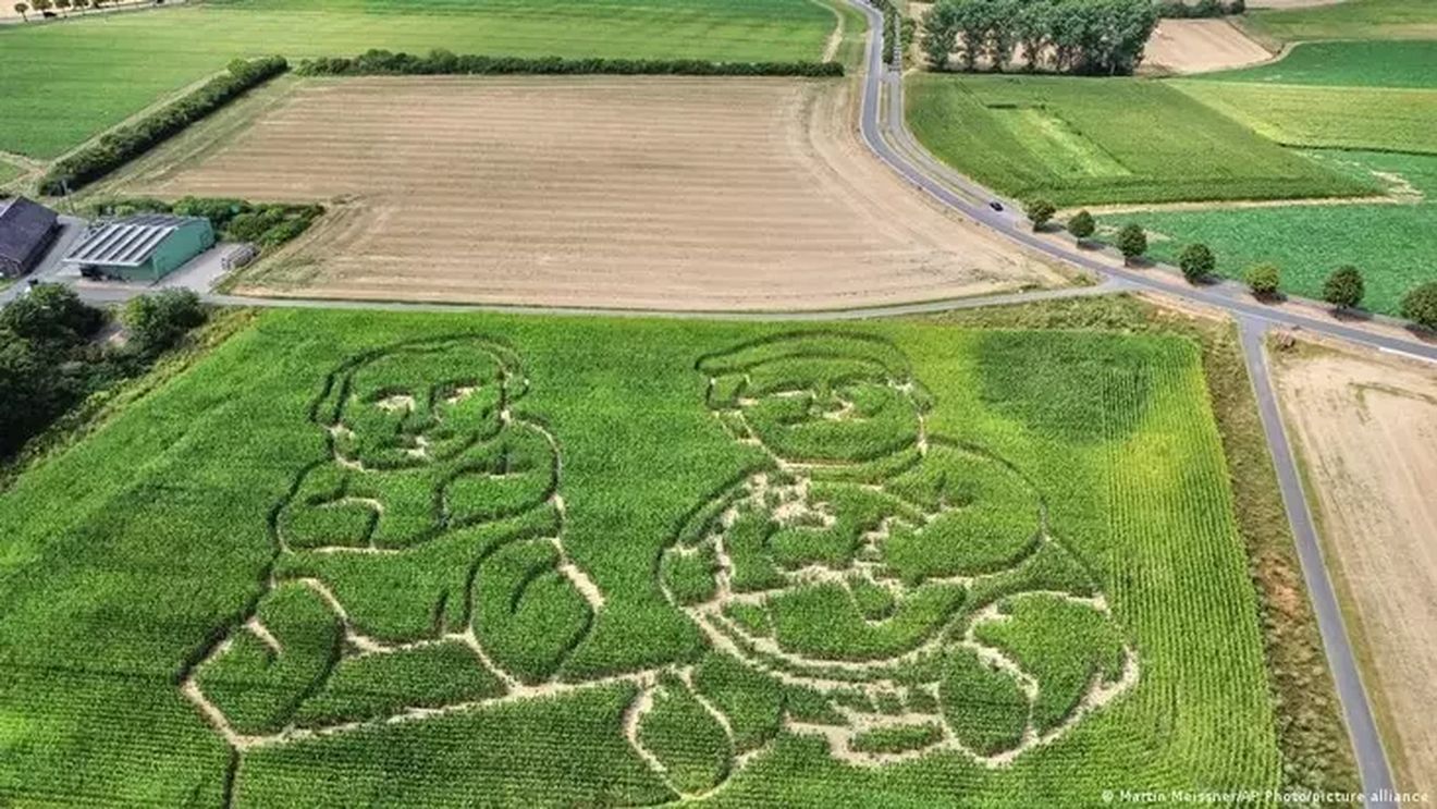 Un fermier german a creat un labirint uriaș în porumb cu Donald Trump și Vladimir Putin reprezentați ca bebeluși
