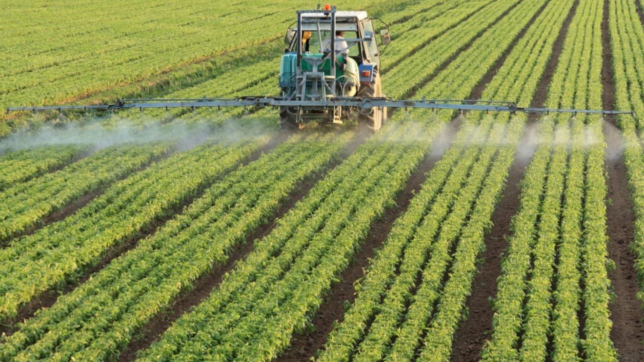 Analiză: Crește discrepanța de venituri între cele mai mari și cele mai mici ferme din Europa