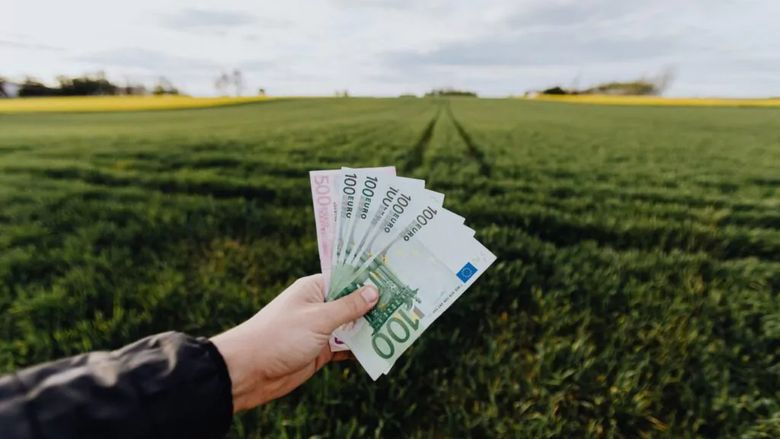 APIA începe plățile în avans pentru Campania 2026 din 16 octombrie / Ajutoarele pentru secetă, porcine și bovine vor fi achitate până la finalul anului