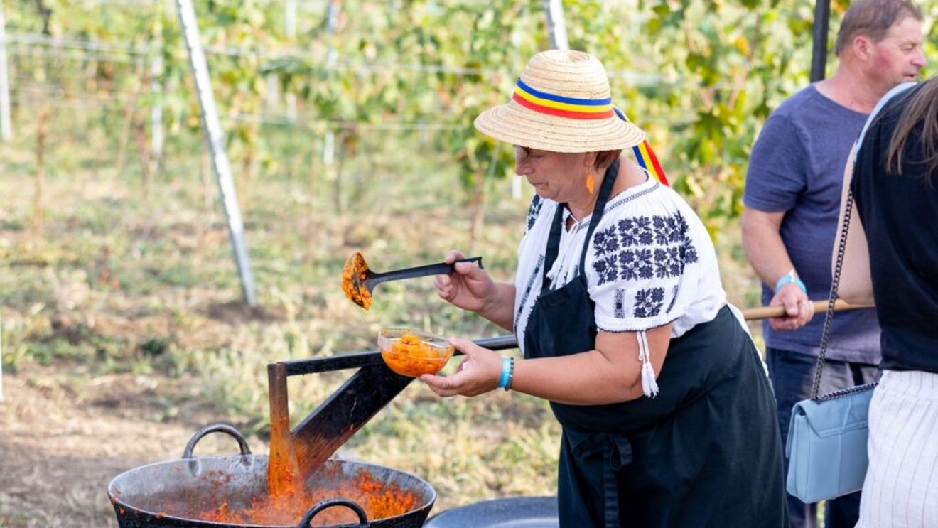 USAMV Cluj-Napoca organizează a patra ediție a Vinea Apoldia Maior Fest, la Apoldu de Sus / Oaspeții sunt așteptați cu bucate tradiționale și vinuri din podgoria proprie