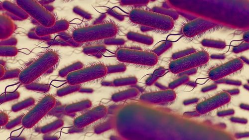 Decese în Statele Unite în urma consumului de salate și paste din supermarket infectate cu Listeria