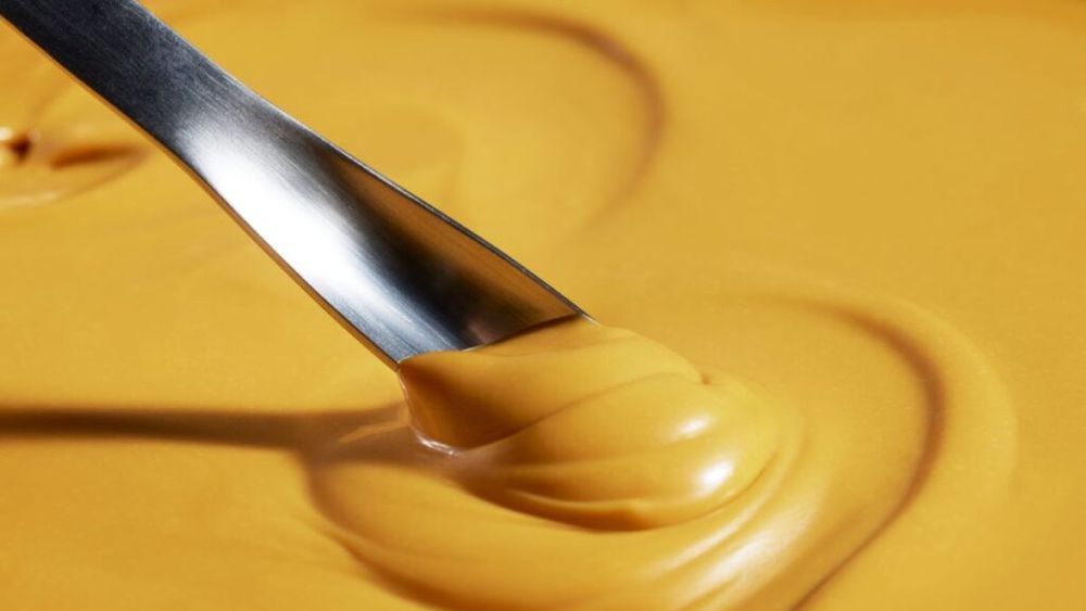 Microorganisme în loc de găini. Nu doar untul se obține din aer: maioneză fără ouă și fără grăsimi animale, realizată de Solar Foods cu proteine brevetate Solein, obținute din microorganisme alimentate cu gaze din atmosferă