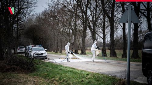 Europa se confruntă cu „cea mai gravă epidemie de febră aftoasă de la începutul secolului”, prin urmare sunt necesare „măsuri urgente” pentru diagnosticarea şi prevenirea timpurie a acesteia, precum şi pentru a-i minimiza impactul, avertizează ONU