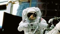 Sticlele PET ar putea deveni hrană pentru astronauți / Cercetătorii transformă plasticul în proteine și grăsimi pentru viitoarele misiuni spre Marte