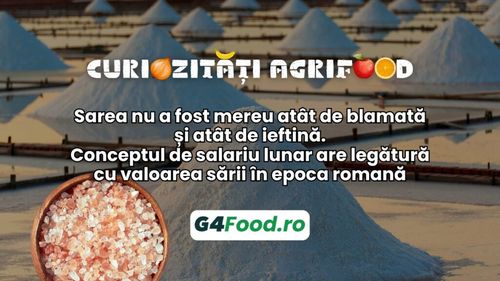 Curiozități agrifood - 26 august : Sarea nu a fost mereu atât de blamată și atât de ieftină. Conceptul de salariu lunar are legătură cu valoarea sării în epoca romană
