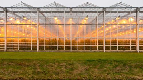 Workshop la USV Iaşi pe tema tehnologiilor digitale şi a echipamentelor de precizie /„Evenimentul se doreşte a fi o punte între cercetare, inovaţie şi aplicabilitatea practică în domeniul agriculturii inteligente”