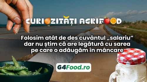 Curiozități agrifood – 19 noiembrie 2024: Folosim atât de des cuvântul „salariu” dar nu știm că are legătură cu sarea pe care o adăugăm în mâncare