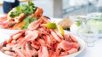 Secretul din farfurie al fotbaliștilor norvegieni/ Peste 500 de kilograme de fructe de mare au traversat Atlanticul, pentru Cupa Mondială!Bucătarul Aron Espeland:„Este o sarcină solicitantă să planifici și să servești 4 mese pe zi, pentru peste 60 de persoane”