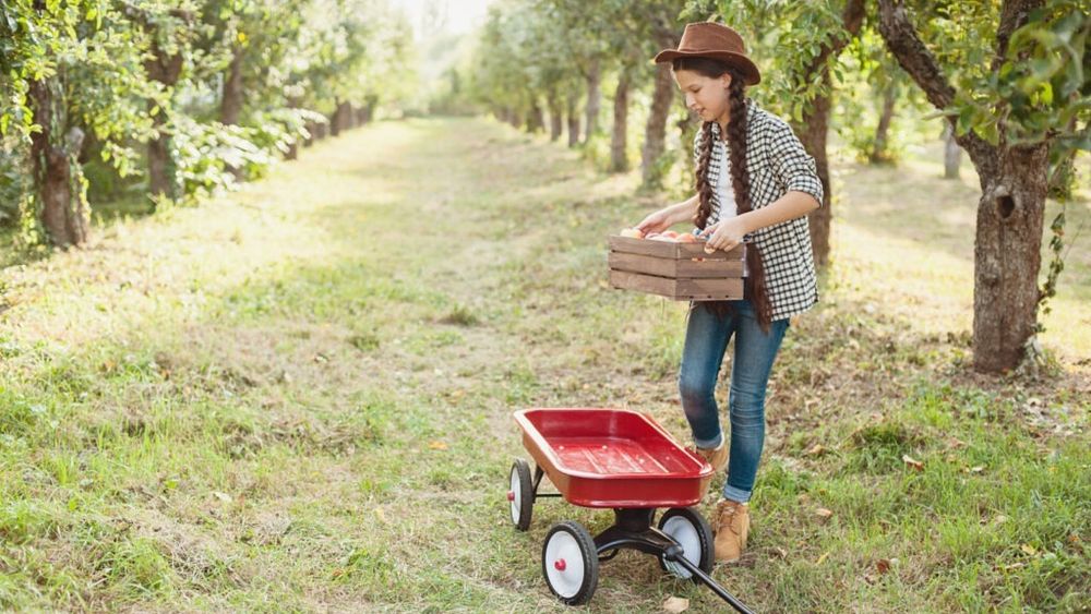 Agenţia pentru Finanţarea Investiţiilor Rurale a lansat în consultare publică „Ghidul solicitantului pentru licee agricole”