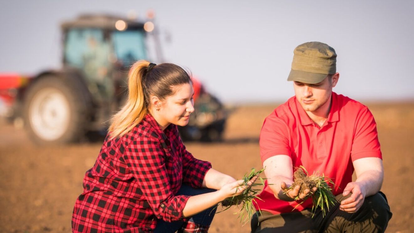 Ministrul Agriculturii anunță că a semnat un ordin pentru prelungirea, până pe 12 iunie, a termenul de depunere a cererilor unice de plată / Solicitarea a venit de la fermieri