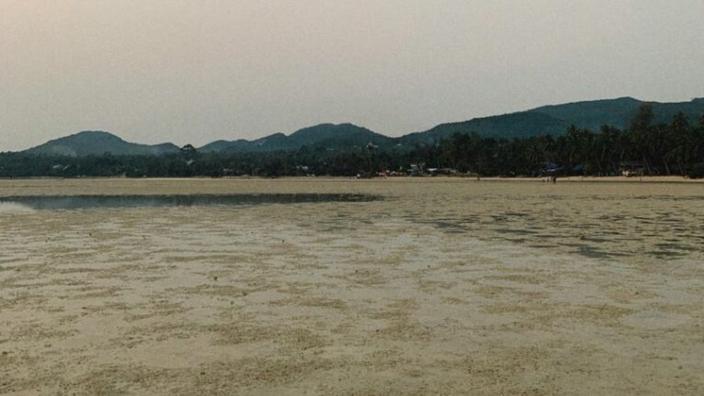 ”Există riscul pierderii resurselor de apă în sudul României”, declară ministrul mediului Mircea Fechet la Digi24