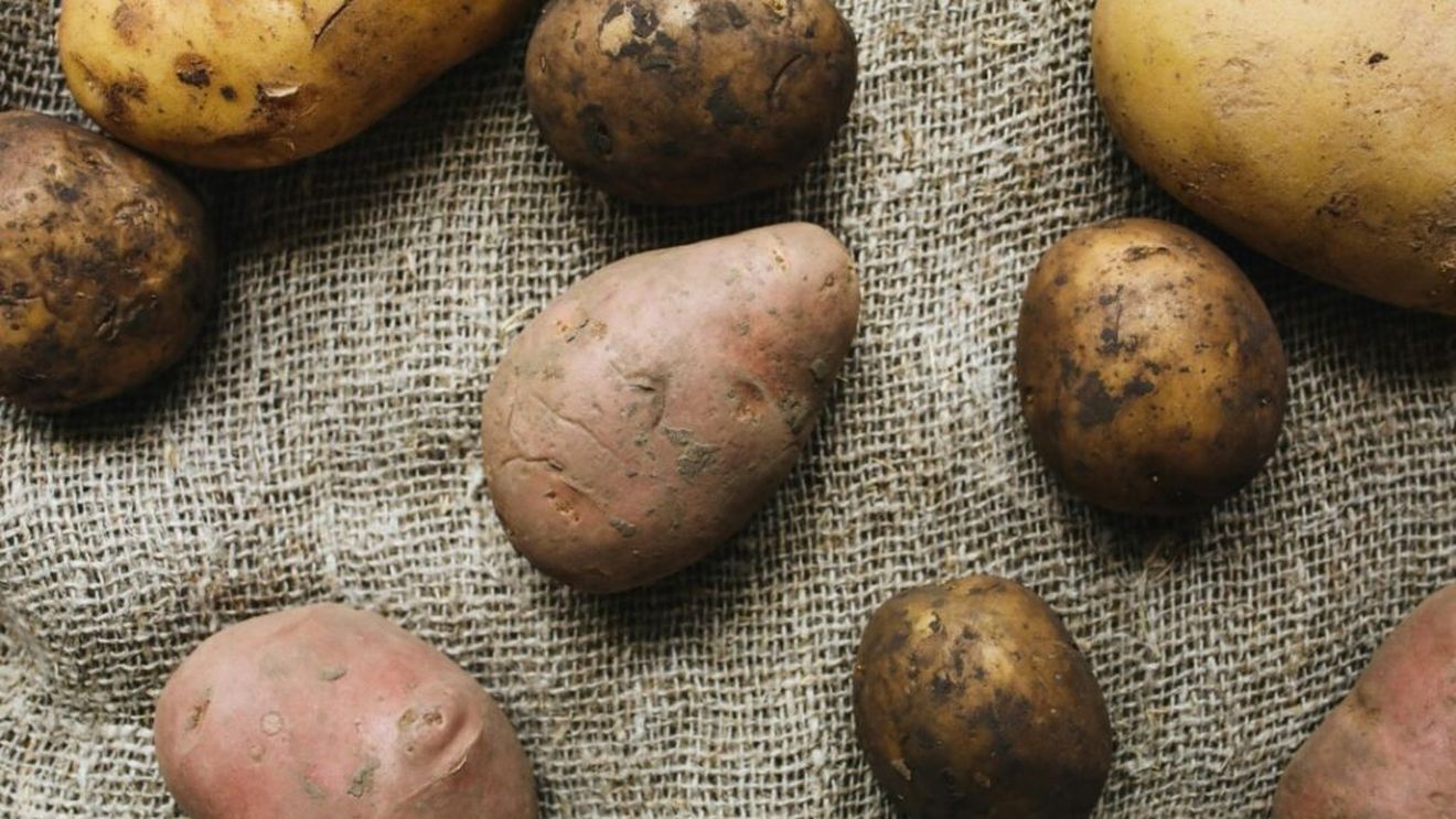 ABC în bucătărie | Cartof alb - cartof roșu/ Pe care să-l folosești în funcție de preparatul pe care îl pregătești și de ce