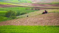 ANALIZĂ | Cine va mai produce hrana Europei? Radiografia unui schimb blocat de generații în agricultură / Cum e în România