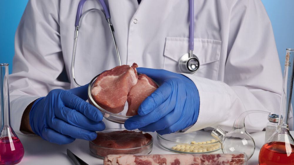 Danemarca promite o președinție UE „pragmatică”: „Nu vom alimenta conflictele pe tema cărnii artificiale sau a bugetului agricol”