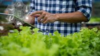Centrele de date pentru AI consumă miliarde de litri de apă. Noile sisteme de răcire reduc consumul, dar cresc presiunea pe energie