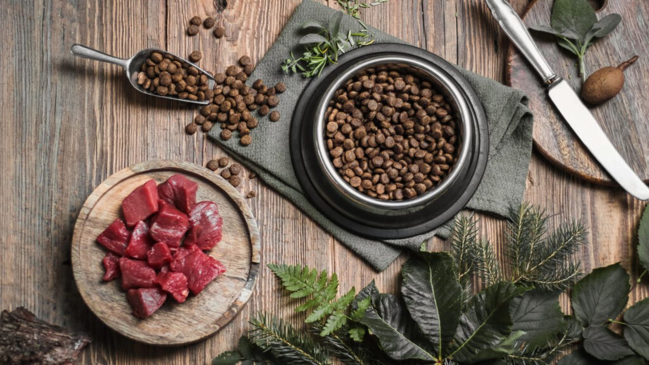 Producătoarea unui brand de snacks-uri organice pentru animale le pune și în pachetul propriilor copii. Femeia susține că prioritățile nutriționale pentru oameni ar trebui să se reflecte și în hrana animalelor de companie