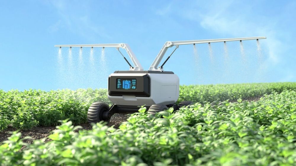 Bayer și Microsoft lansează un proiect inovator de inteligență artificială pentru sectorul agricol / Inițiativa face parte dintr-un proiect mai amplu al Microsoft, care își propune să ofere soluții de AI personalizate, folosind date provenite de la unele dintre cele mai mari companii