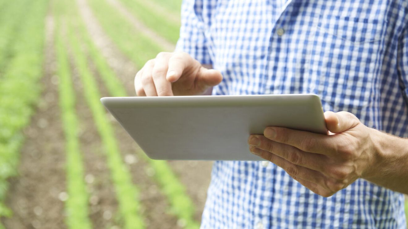 Guvernul înființează o nouă rețea de date pentru agricultură: sistem informatic integrat și fonduri de milioane de euro