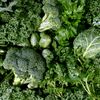 Ce legume să mănânci mai des pentru creier, inimă și intestine. Două alegeri se detașează, potrivit nutriționiștilor