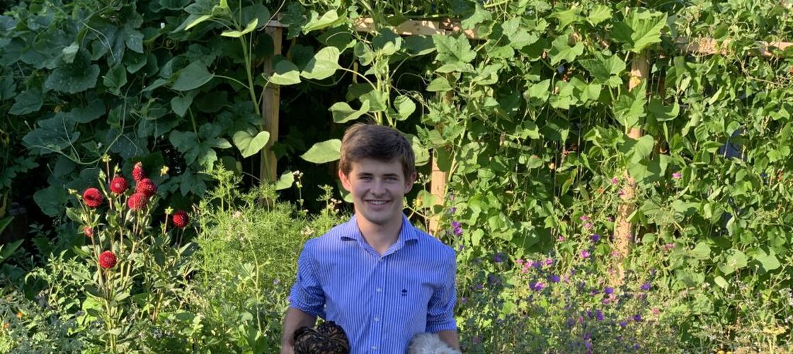 Arthur Motté, tânărul care cultivă legume bio pe doar 15 metri pătrați: „Nu ai nevoie de o grădină mare ca să produci hrană” /