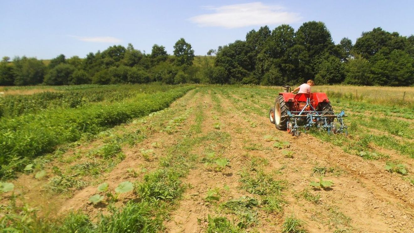 Blocarea Strâmtorii Ormuz un pericol pentru siguranța alimentară la nivel global