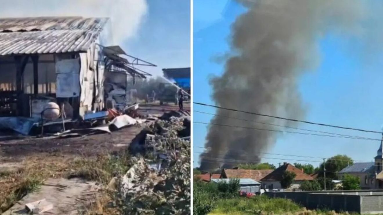 Incendiu la o fermă de bovine din Satu Mare/Două persoane au ajuns la spital cu atac de panică și zeci de animale au fost carbonizate