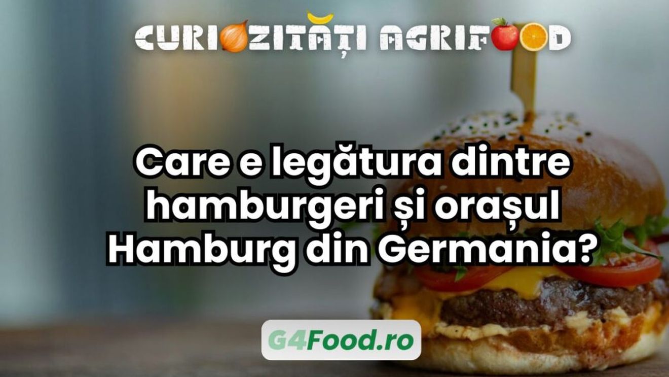 Curiozități agrifood: Care e legătura dintre hamburgeri și orașul Hamburg din Germania?