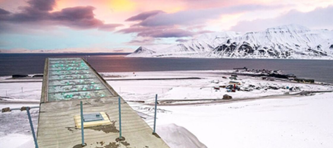 „Grânarul lumii” nu mai are apă potabilă. Schimbările climatice afectează grav arhipelagul Svalbard și odată cu el și Banca Globală de Semințe