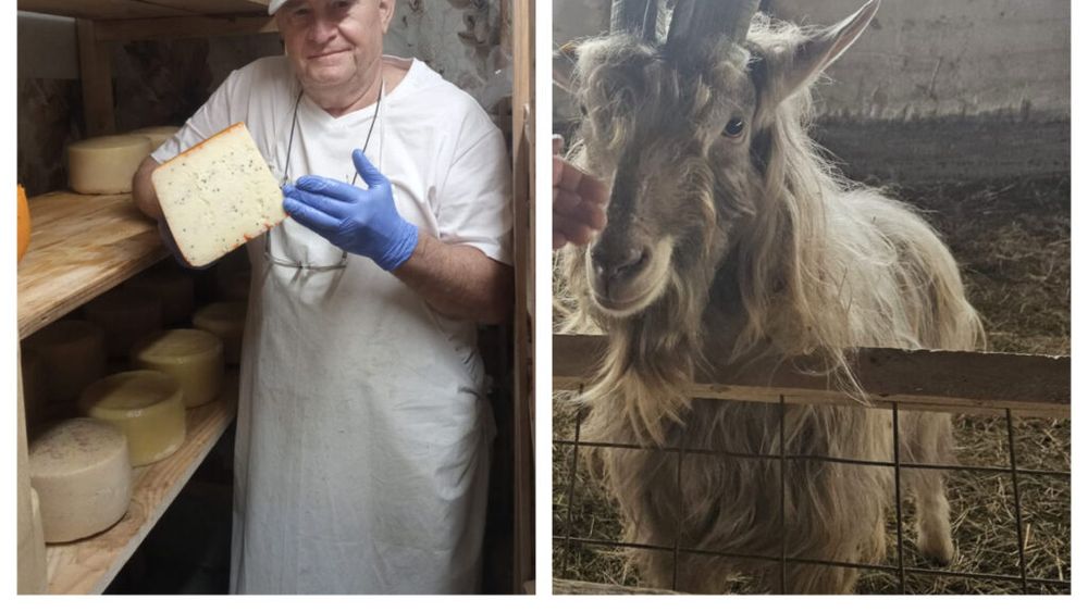 Incendiu devastator la o fermă din Prahova / Sute de capre au murit arse de vii / Ovidiu Cojocaru, proprietarul fermei: „Totul a fost distrus, iar cea mai grea pierdere pentru noi sunt drăgălașele noastre căprițe și păsările care nu au putut fi salvate”