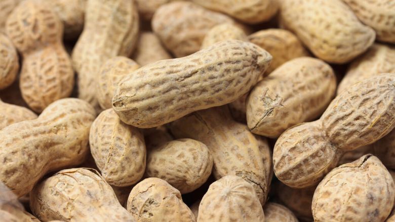 Alergia la arahide ar putea fi tratată cu ajutorul bacteriilor „bune” din intestin. Un studiu deschide o nouă direcție de cercetare