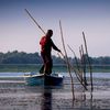 Delta Dunării / 6.500 de hectare de amenajări piscicole au fost transformate în terenuri agricole din 2018 până în prezent