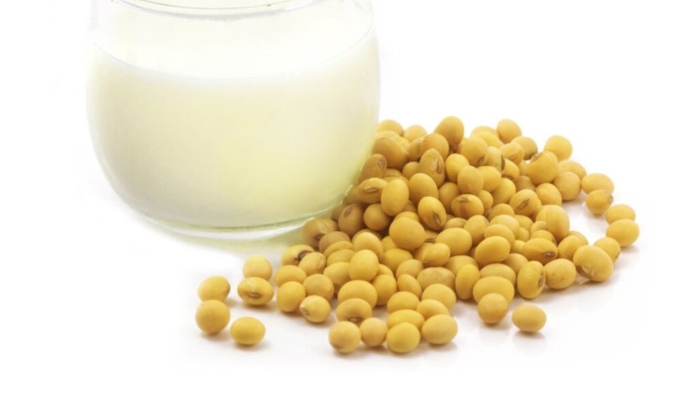 Laptele din proteină de mazăre, cât de sănătos este în realitate / Beneficii, valori nutriționale și o rețetă